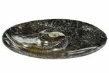 Oval Shaped Fossil Goniatite Dish - Morocco #108060-2